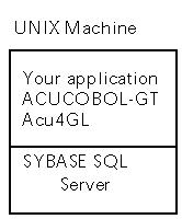 acu00018.gif